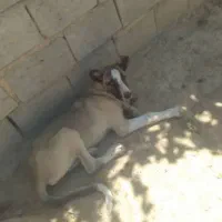 توضیحاتشو بخون