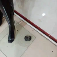 مانکن تمام قد زنانه|فروشگاه و مغازه|ارومیه, |دیوار