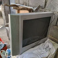 تلوزیون ۲۱ و بخاری