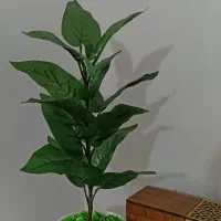 درختچه مصنوعی گل مصنوعی درختچه پتوس درختچه مصنوعی