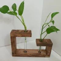 حراج شیشه و لوله آزمایش برای گلدان مینیاتوری