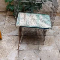 دو عدد قفس سالم