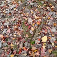 نیاز به همیاری و قرض‌الحسنه