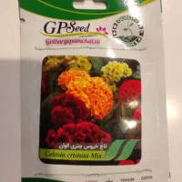 فروش انواع بذر گل خاص