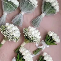 کلکسیون،عروس|خدمات پذیرایی، مراسم|نسیم‌شهر, |دیوار