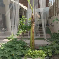 خانه دار و کمی آشپزی در بومگردی