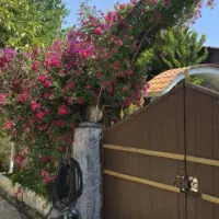 ویلاباغچه به قیمت کاسبی سند/پروانه /پایانکار