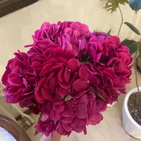 گل مصنوعی|گل مصنوعی|تهران, امیرآباد|دیوار