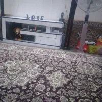 اسپیکر سالم مارشال|سیستم صوتی خانگی|قم, زاویه|دیوار