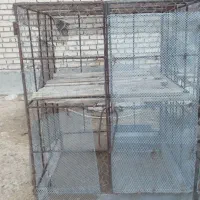 قفس کبوتر و مرغ