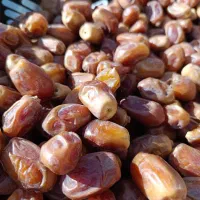 خرما زاهدی|خوردنی و آشامیدنی|تهران, میدان ولیعصر|دیوار