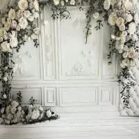 پرده عکاسی