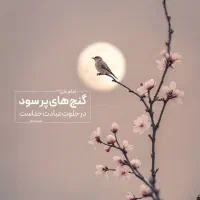 کارت های بانکی گم شده