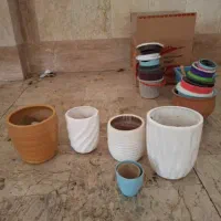 گلدان سرامیکی|گل و گیاه طبیعی|تهران, طرشت|دیوار