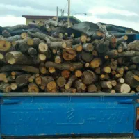 خرید فروش چوب از باغات وخانه های کلنگی|خدمات باغبانی و درختکاری|مرند, |دیوار