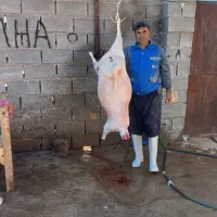 بهتریناروازمابخواهیدگوشت بره وبزغاله ۶۰۰