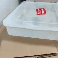 تعدادی ظرف در دار سالم