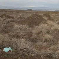 زمین دربیلوردی|فروش دفتر صنعتی، کشاورزی، تجاری|خواجه, |دیوار