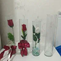 تنگ صدف مرجان کلبه صخره فیلتر مایع ضدعفونی آب