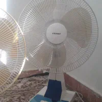 پنکه