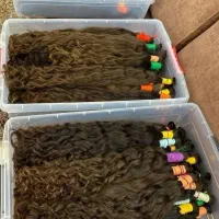 شرکت کلاه گیس بروجرد