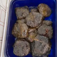 سفارش کلم پلو‌  وکوفته سبزی شیرازی و دلمه برگ مو|خوردنی و آشامیدنی|شیراز, صاحب دیوان|دیوار