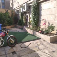 هرس درخت شمشاد خدمات باغبانی آذری|خدمات باغبانی و درختکاری|تهران, صادقیه|دیوار