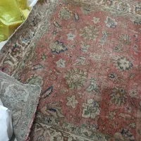 از یه گوشه پوسیدگی داره قطع