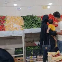 صندوقدار میوه فروشی