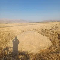 فروش کاه مرغوب وباکیفیت