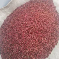 زرشک فروشی