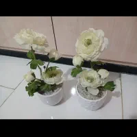 گل گلدان‌ گلدون  پایه گل|گل مصنوعی|زاهدان, |دیوار