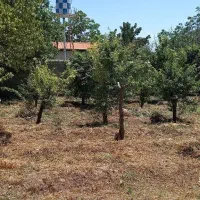 باغ میوه با سهمیه آب