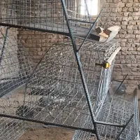 قفس مرغ منبری|لوازم جانبی حیوانات|تاکستان, |دیوار