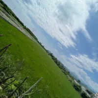 فروش زمین ۵۰۰۰ متری|فروش زمین و ملک کلنگی|آستارا, |دیوار