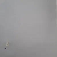 خونه