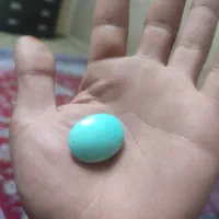 فیروزه نیشاپوری