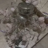 لوستر کاملا سالم