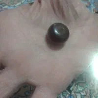 مهره قدیمی عتیقه|جواهرات|لنجان, |دیوار