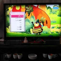 تلویزیون ال‌جی اصل کره