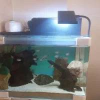فروش اکواریوم