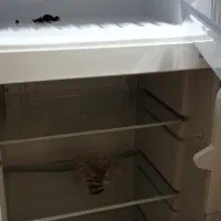 فروش یخچال و فریزر درحد نو