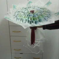 دسته گل با پول و ربان|گل مصنوعی|مشهد, رده|دیوار