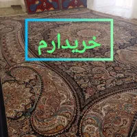 فرش|فرش|بیرجند, |دیوار