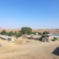 کار داوطلبانه در مزرعه|استخدام خدمات فروشگاه و رستوران|قم, انسجام|دیوار