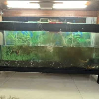 آکواریوم ۱۲۰ با پایه