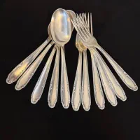 قاشق و چنگال