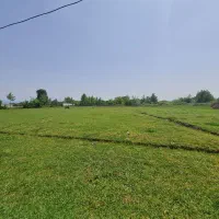 زمین در  شهر کوچصفهان