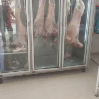 کار در عرفه گوشت مرغ ارزانسرا نیروی وارد میخوایم