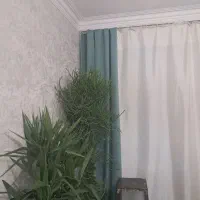 دوعدد شال پرده مینیمال|پرده، رانر، رومیزی|تهران, افسریه جنوبی|دیوار